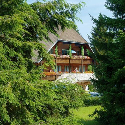 Hotel Garni Seebachstueble 티티제-노이슈타트 외부 사진