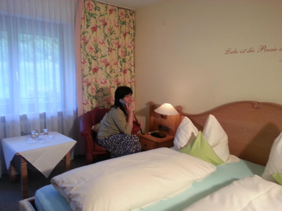 Hotel Garni Seebachstueble 티티제-노이슈타트 객실 사진